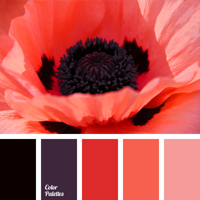 Image result for living coral color palette