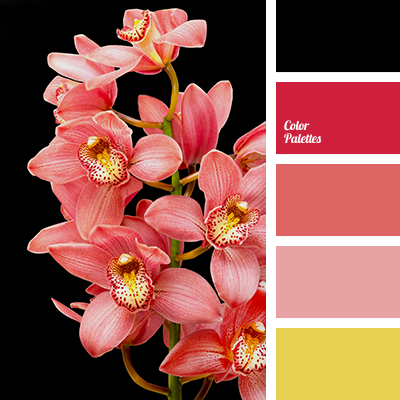 Image result for living coral color palette