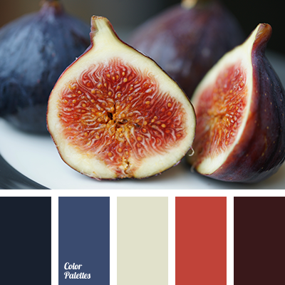 color palette fig blue 2293 dark palettes matching shades red colorpalettes