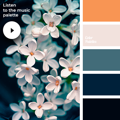 http://colorpalettes.net/wp-content/uploads/2019/01/ambient_music_palette_3901.png