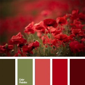 color of red poppies | Page 3 of 3 | Color Palette Ideas