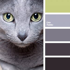 decorating color schemes | Color Palette Ideas