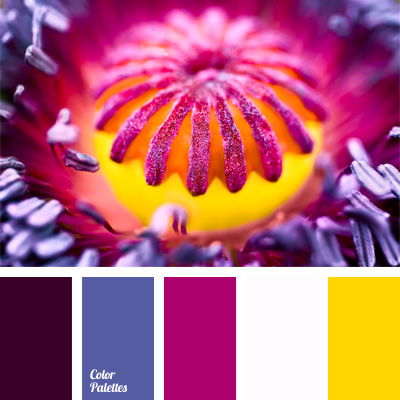 shades of violet
