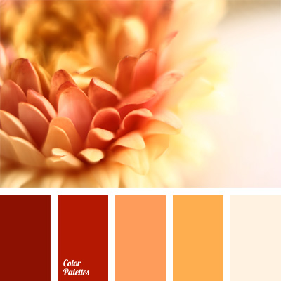 burnt orange  Color Palette Ideas