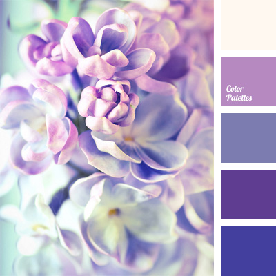 760 Most Beautiful Pictures in all shades of Purple and Lilac.No 1 ideas