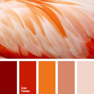 color of flamingos | Color Palette Ideas