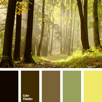 color of tree trunks