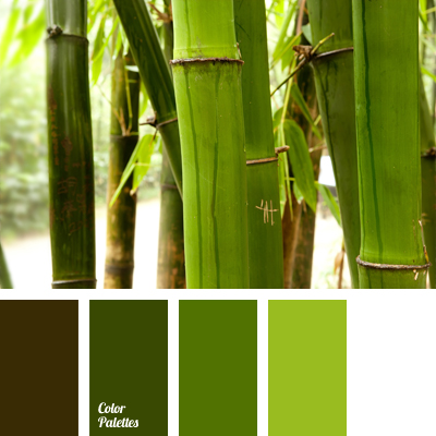 María Bienes Viaje color of bamboo | Color Palette Ideas