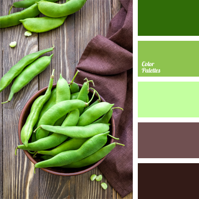 contrasting light green | Color Palette Ideas