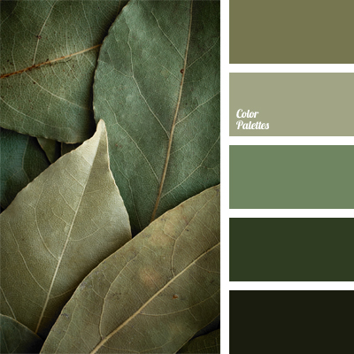 cold shades of green | Color Palette Ideas