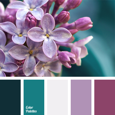 purple and turquoise color palette