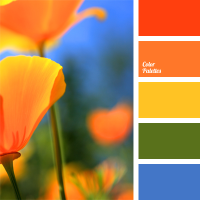 Red Orange Page 4 Of 5 Color Palette Ideas,United Baggage Limits