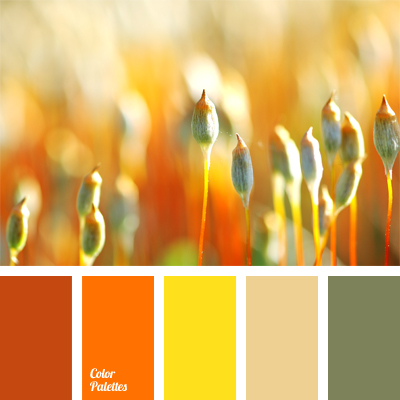 color scheme for repair of apartment | Color Palette Ideas