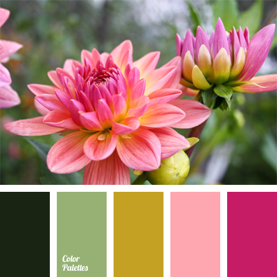 color of stems | Color Palette Ideas