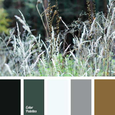 colors of the forest | Color Palette Ideas