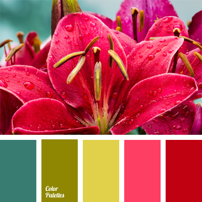 bright color solution | Color Palette Ideas