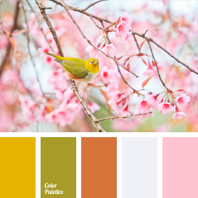 Soft Color Palette