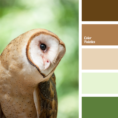color of owl feathers | Color Palette Ideas