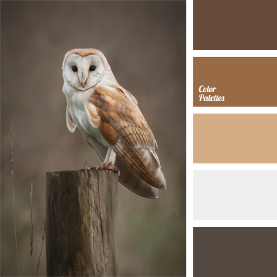 Color Palette #953 | Color Palette Ideas