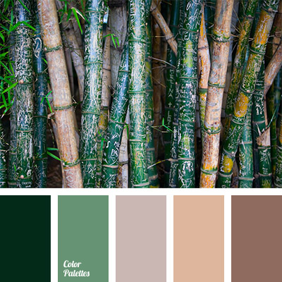 Tres Usual Incienso colour of a green bamboo | Color Palette Ideas