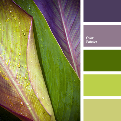 salad green | Color Palette Ideas