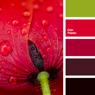 shades of red colour | Color Palette Ideas