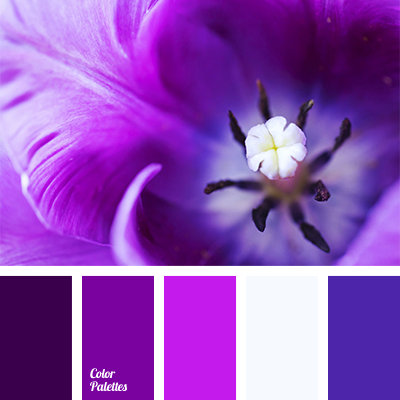 white and violet | Color Palette Ideas