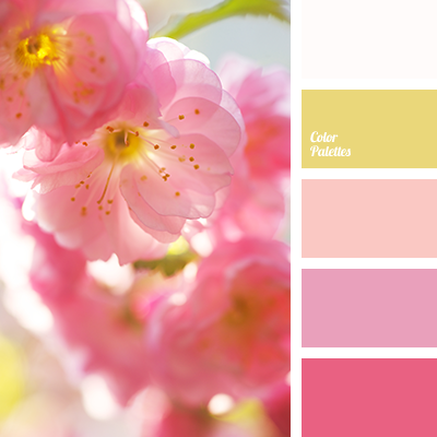 Pink With Yellow Color Scheme » Pink »