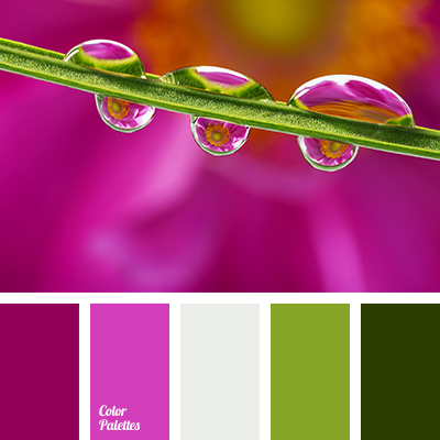 50+ Shades of Fuchsia Color (Names, HEX, RGB, & CMYK Codes) –  CreativeBooster