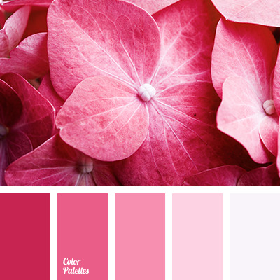 light and bright pink | Palette Ideas