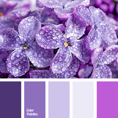 monochrome violet color palette Color Palette Ideas