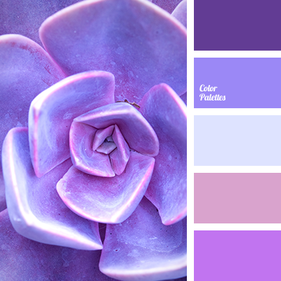 Cool Shades Of Violet Color Palette Ideas
