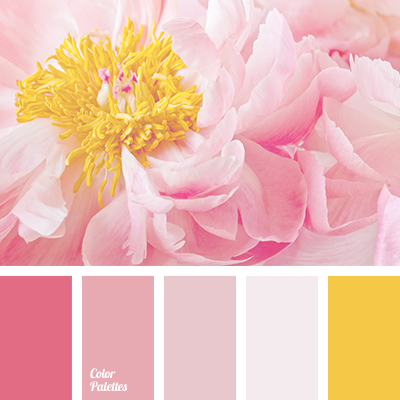 gentle palette for a wedding