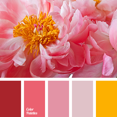 Bright Yellow and Pink, Color Palette