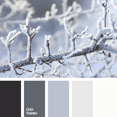 winter color combination