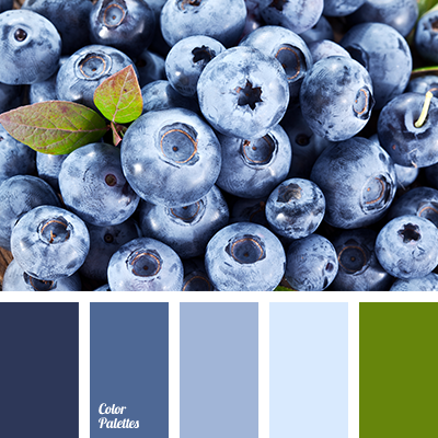 blueberries color