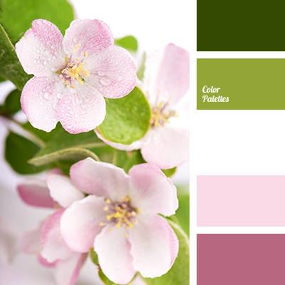 Color Palette #2678 | Color Palette Ideas
