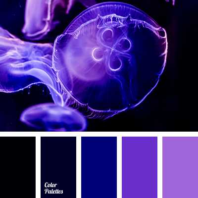 purple colors