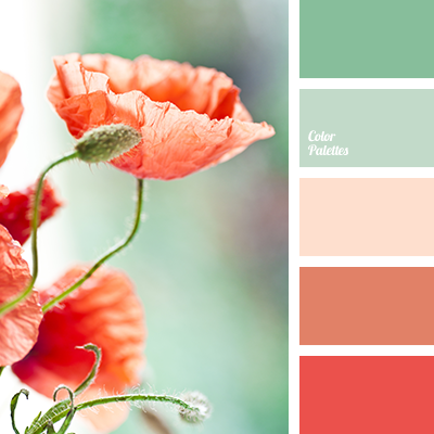 color of watermelon Color Palette Ideas