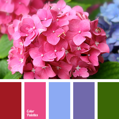 50+ Shades of Fuchsia Color (Names, HEX, RGB, & CMYK Codes) –  CreativeBooster