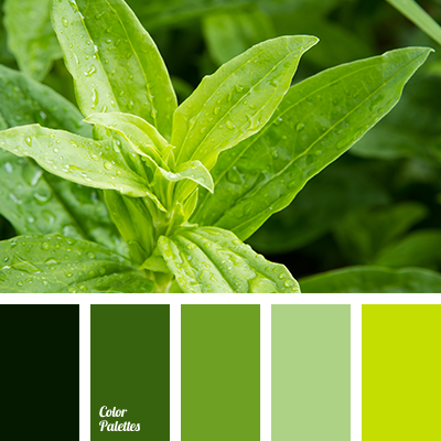 greenery color