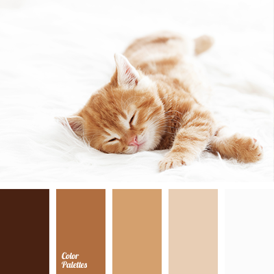 Color solution for home