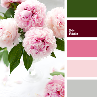 Color of pink peonies