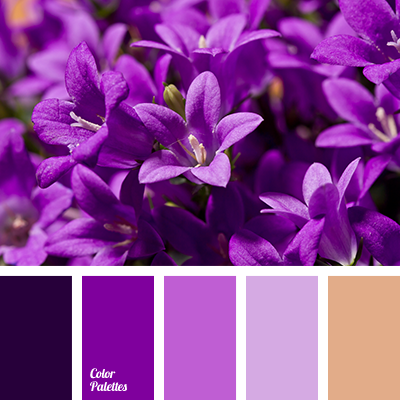 purple and brown | Color Palette Ideas