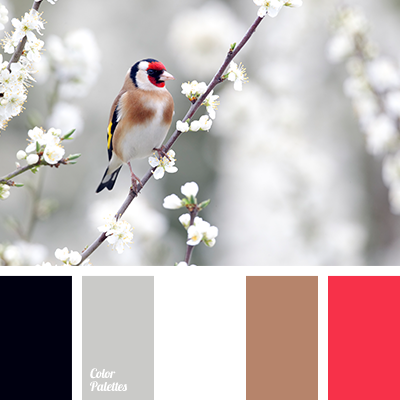 Red And White Color Schemes, Red And White Color Combinations