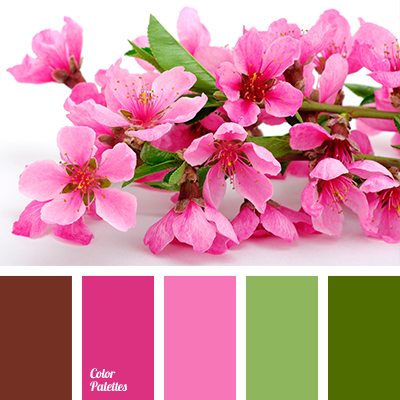 Peach Pink Color Palette Ideas