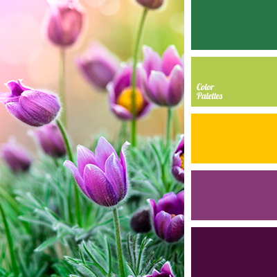 Yellow And Violet Color Palette Ideas,Stylish Black And White Wallpaper Hd For Mobile