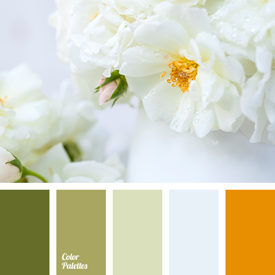 Light Olive Color Palette Ideas - Paint Colours To Match Olive Green