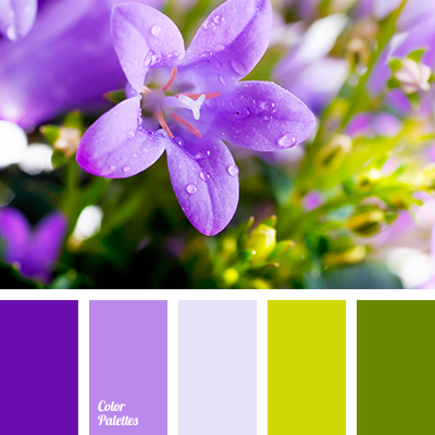 Pale Violet Color Palette Ideas