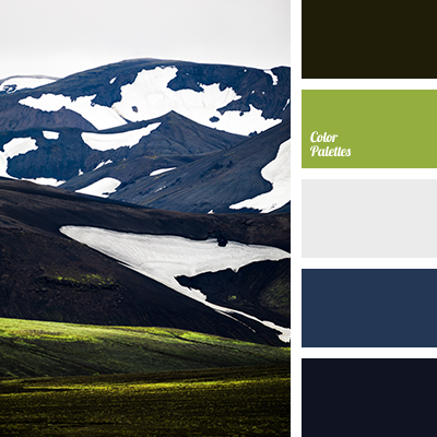 Navy Color Color Palette Ideas,Chocolate Brown Color Combination For Brown